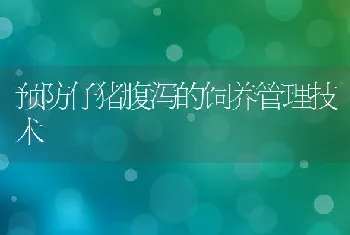 预防仔猪腹泻的饲养管理技术