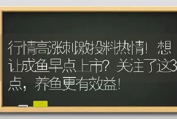 行情高涨刺激投料热情！想让成鱼早点上市?关注了这3点,养鱼更有效益！