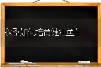 秋季如何培育健壮鱼苗