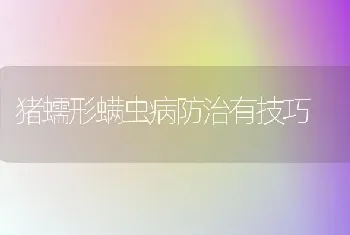 猪蠕形螨虫病防治有技巧