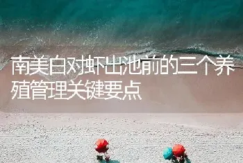 南美白对虾出池前的三个养殖管理关键要点