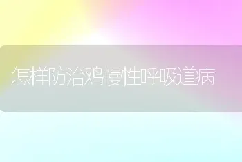 怎样防治鸡慢性呼吸道病