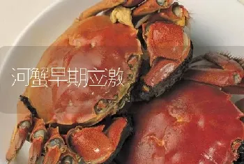 河蟹早期应激