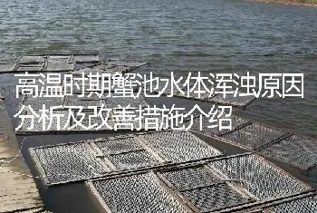 高温时期蟹池水体浑浊原因分析及改善措施介绍