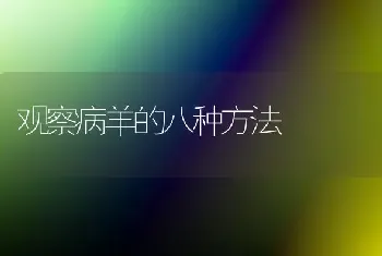 观察病羊的八种方法