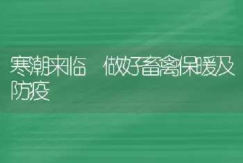 寒潮来临 做好畜禽保暖及防疫