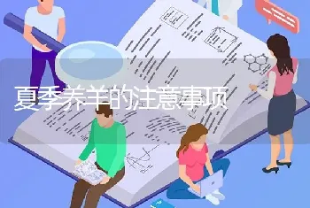 夏季养羊的注意事项