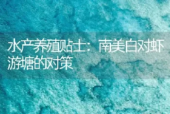 水产养殖贴士：南美白对虾游塘的对策