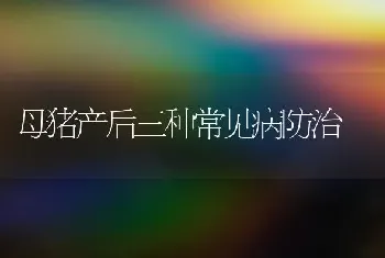 母猪产后三种常见病防治