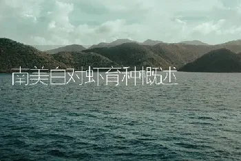 南美白对虾育种概述