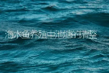 海水鱼养殖中池塘的清整