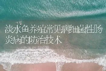 淡水鱼养殖常见病细菌性肠炎病的防治技术