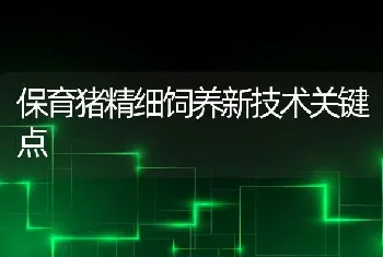 保育猪精细饲养新技术关键点