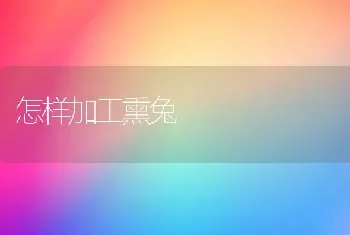 怎样加工熏兔