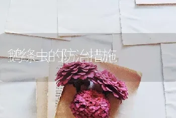 鹅绦虫的防治措施