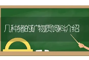 几种猪的矿物质饲料介绍