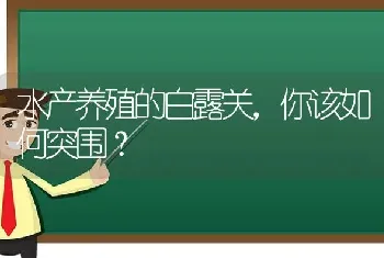 水产养殖的白露关,你该如何突围?