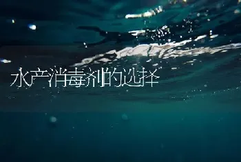 水产消毒剂的选择