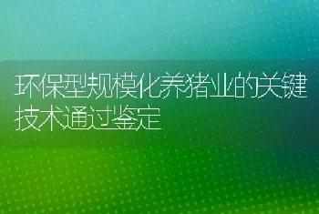 环保型规模化养猪业的关键技术通过鉴定