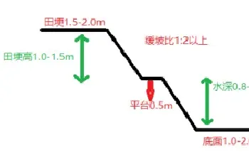 这样建设出来的才是高产的稻虾池塘！