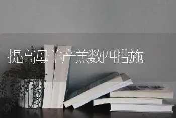 提高母羊产羔数四措施