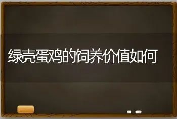 绿壳蛋鸡的饲养价值如何