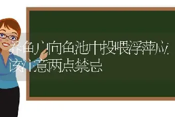 养鱼户向鱼池中投喂浮萍应该注意两点禁忌