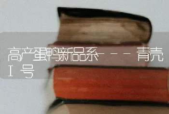 高产蛋鸭新品系---青壳I号