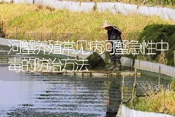 河蟹养殖常见病河蟹急性中毒的防治方法