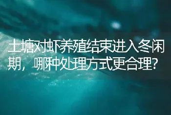 土塘对虾养殖结束进入冬闲期,哪种处理方式更合理?