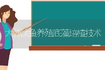 大弹涂鱼养殖底藻培植技术