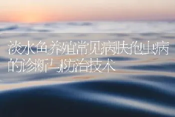 淡水鱼养殖常见病肤孢虫病的诊断与防治技术