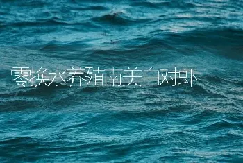 零换水养殖南美白对虾