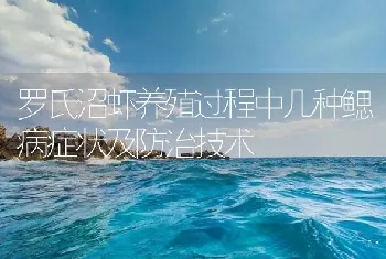 罗氏沼虾养殖过程中几种鳃病症状及防治技术