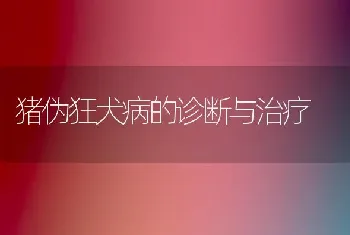 猪伪狂犬病的诊断与治疗