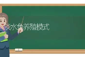 淡水鱼养殖模式