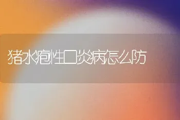 猪水疱性口炎病怎么防