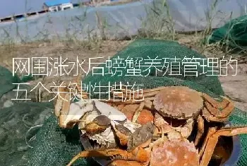 网围涨水后螃蟹养殖管理的五个关键性措施