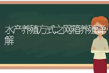 水产养殖方式之网箱养殖详解