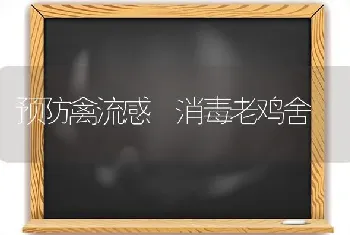 预防禽流感 消毒老鸡舍