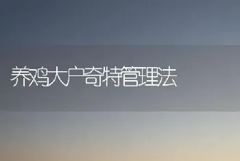 养鸡大户奇特管理法