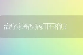 治疗家畜疾病用石榴皮