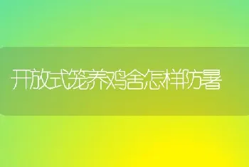 开放式笼养鸡舍怎样防暑