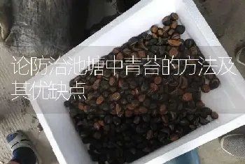 论防治池塘中青苔的方法及其优缺点