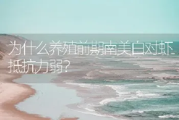 为什么养殖前期南美白对虾抵抗力弱?