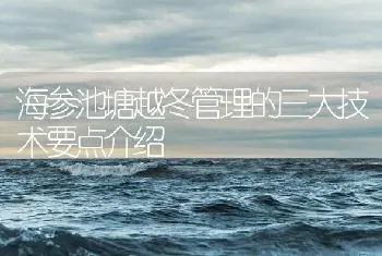 海参池塘越冬管理的三大技术要点介绍