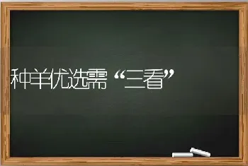 种羊优选需“三看”