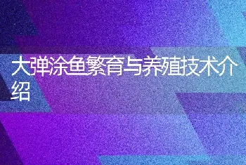 大弹涂鱼繁育与养殖技术介绍