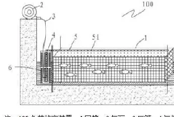 采用这种黑科技培育夏花,亩产量增16倍,成活率提高40%