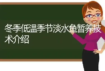 冬季低温季节淡水鱼暂养技术介绍